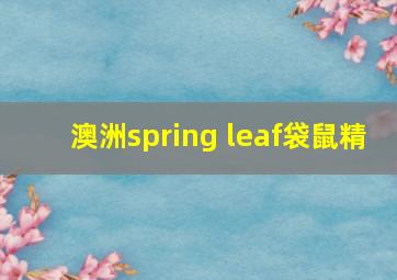 澳洲spring leaf袋鼠精